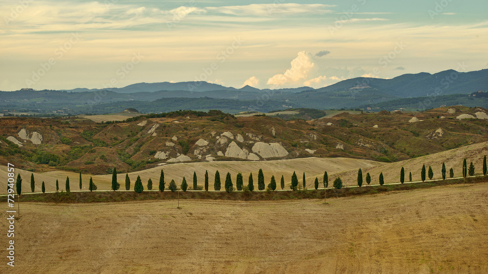 Toscania, Włochy, Krajobraz wiejski - obrazy, fototapety, plakaty 