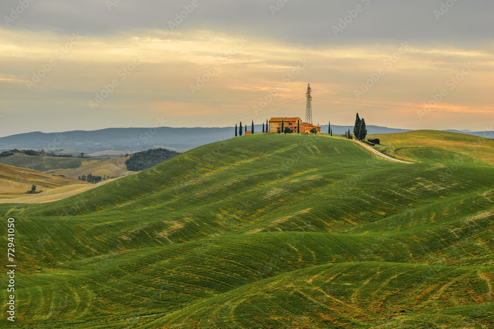 Toscania , Włochy,  Multipulcjano, krajobraz wiejski - obrazy, fototapety, plakaty 