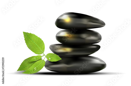 Black stones and green leafs with dew-drops