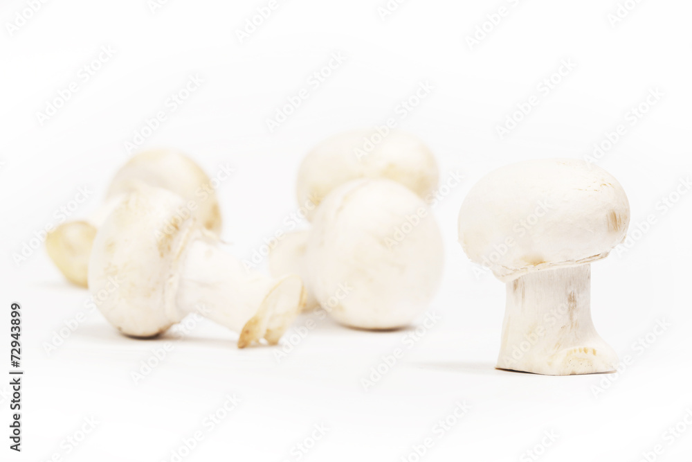 Group of white mushrooms - shallow depth of field Group of white mushrooms - shallow depth of field