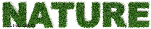 Natura lettere erba verde, scritta isolata su sfondo bianco photo