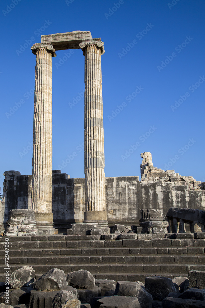 Hystorical column of Apollo ancient city in Didyma Turkey 2014
