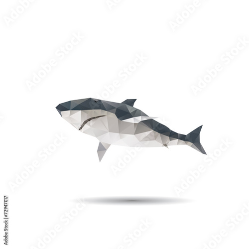 Abstract shark isolated on a white backgrounds