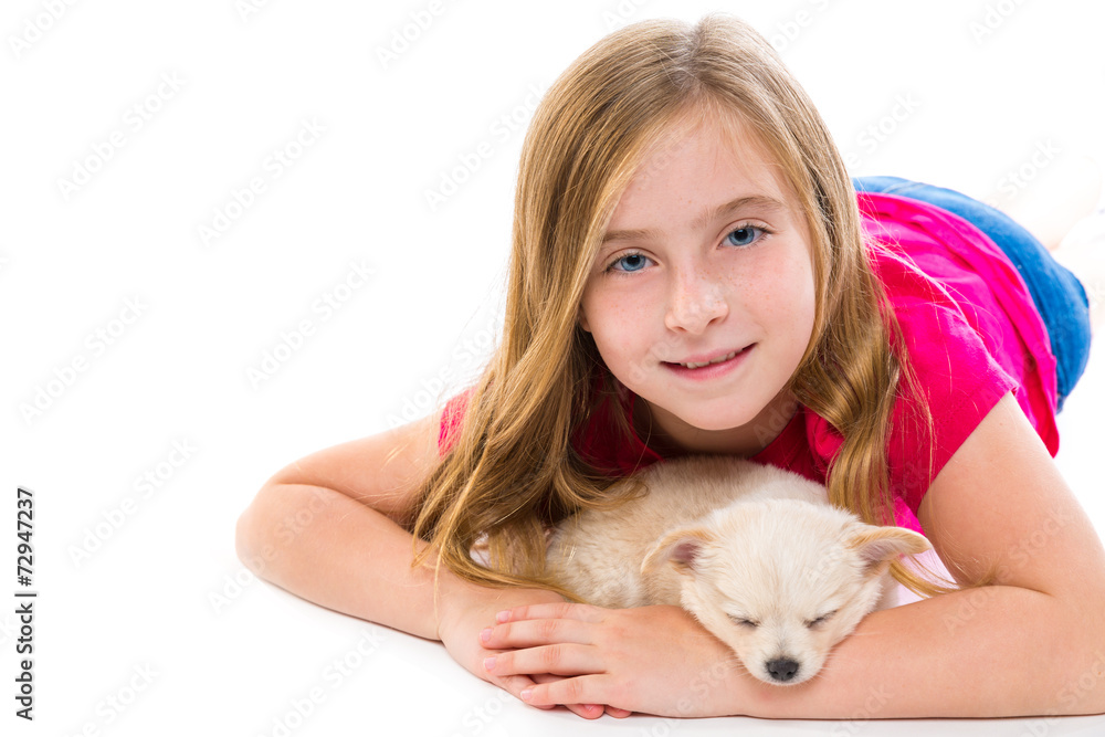 blond kid girl with puppy chihuahua pet dog blond kid girl with puppy chihuahua pet dog