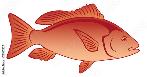 fish Lutjanus