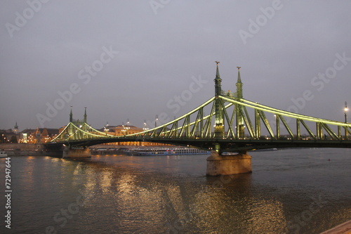 Photography Pont de la Liberté à Budapest, Hongrie