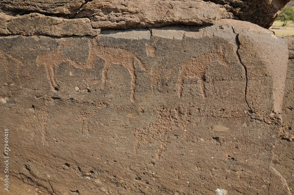 Felsgravuren, historisch, Twyfelfontein, Namibia, Afrika Felsgravuren, historisch, Twyfelfontein, Namibia, Afrika