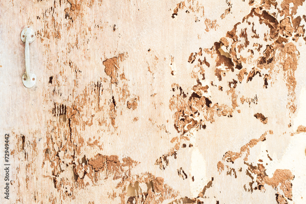 texture of termite damaged wood
