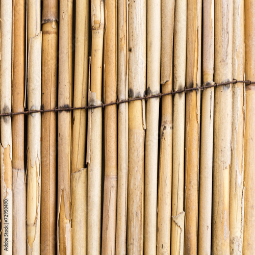 beautiful square bamboo texture