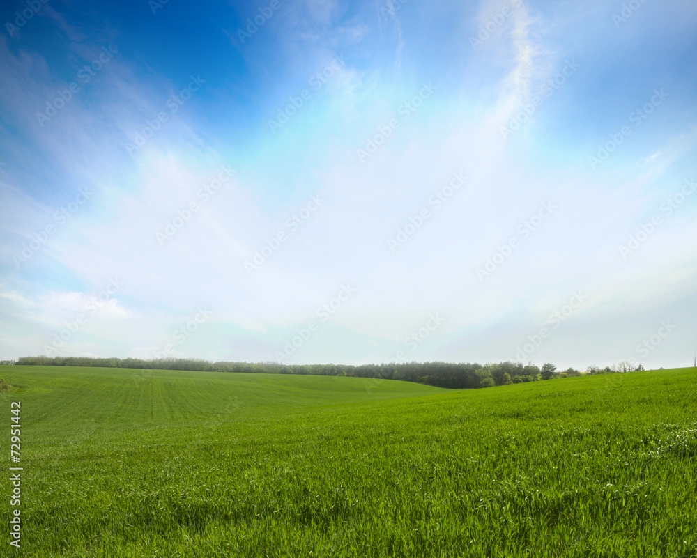Obraz premium landscape