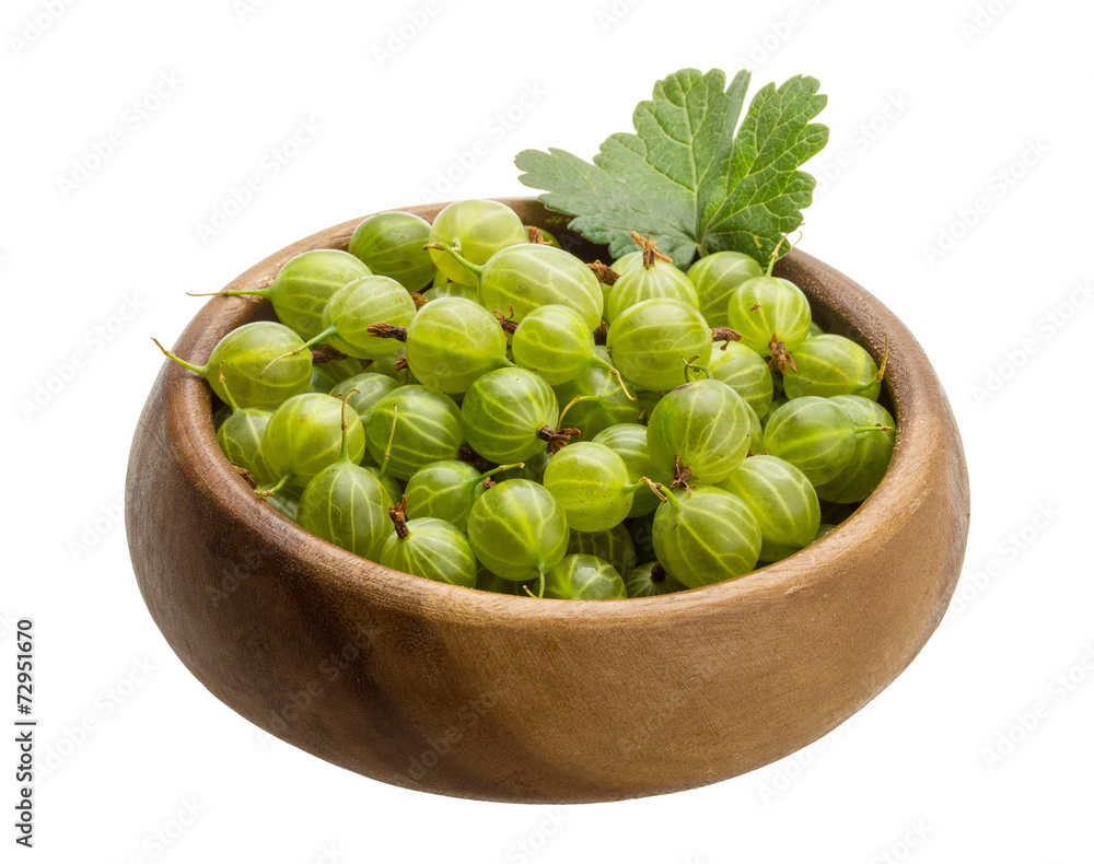 Gooseberry Gooseberry