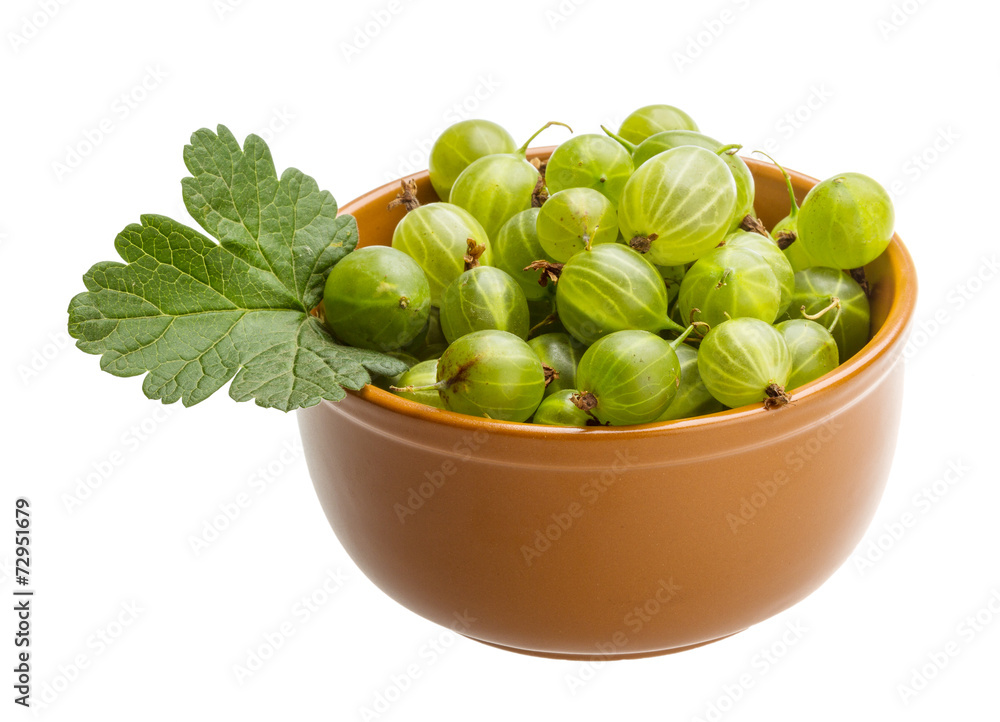 Gooseberry Gooseberry