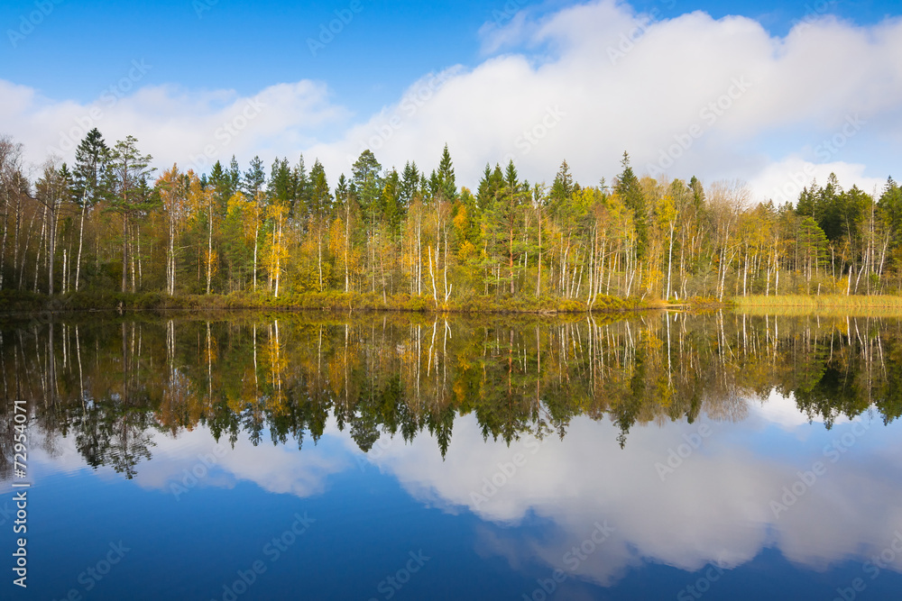 Autumn reflection of Swedish lake