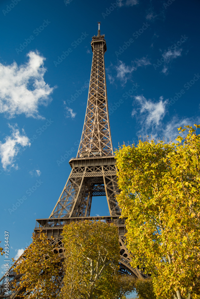Eiffel Tower over blue sky and fall leaves