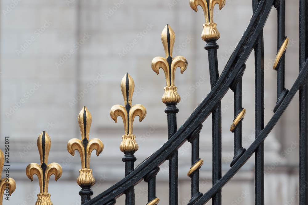 Naklejka premium Detail of the gate of Buckingham Palace