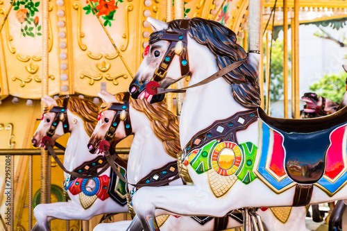 carousel horses in amusement park