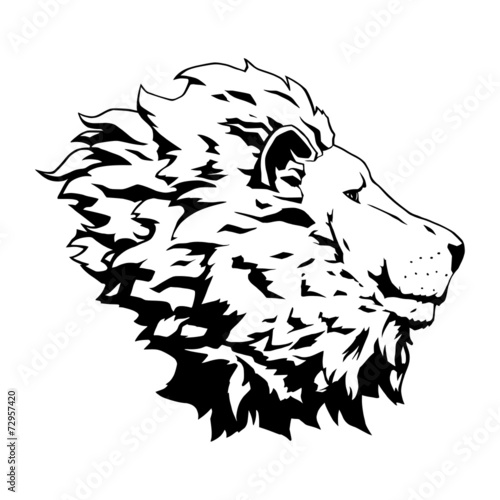 Fototapeta Naklejka Na Ścianę i Meble -  Lion head