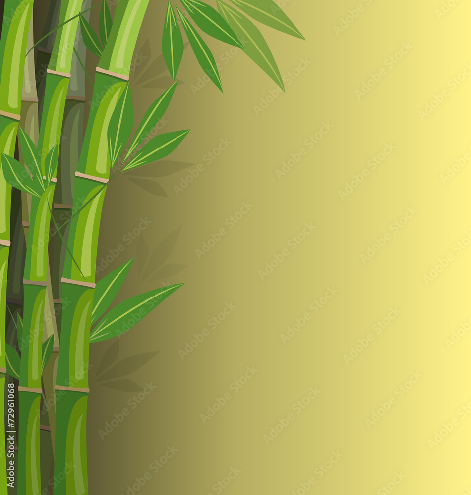 Obraz premium Zielony bambus na żółtym tle z cieniami
