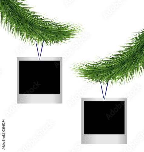 Two blank photoframes hanging on green pine branches isolated on