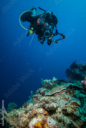 Diver and crocodilefish in Derawan, Kalimantan underwater