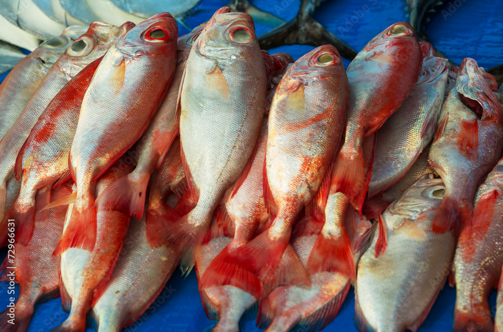 Fish market Fish market