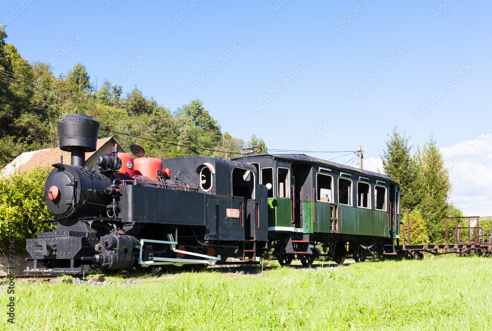 Obraz premium steam locomotive, Viglas, Slovakia