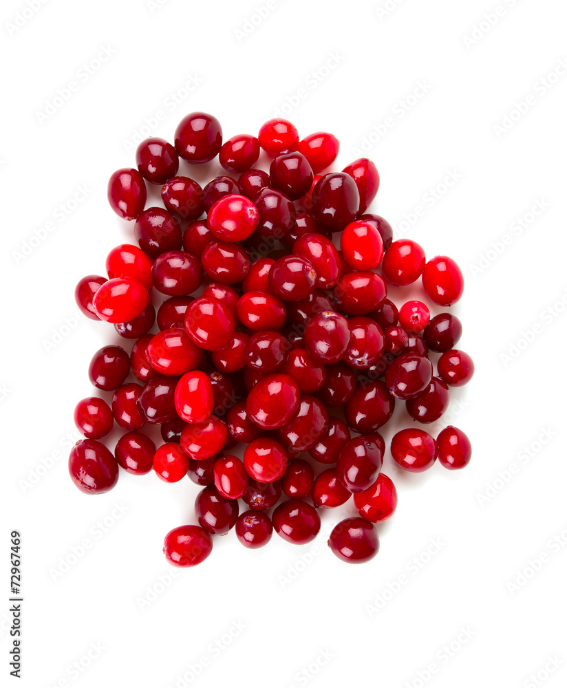 Cranberry isolated Cranberry isolated