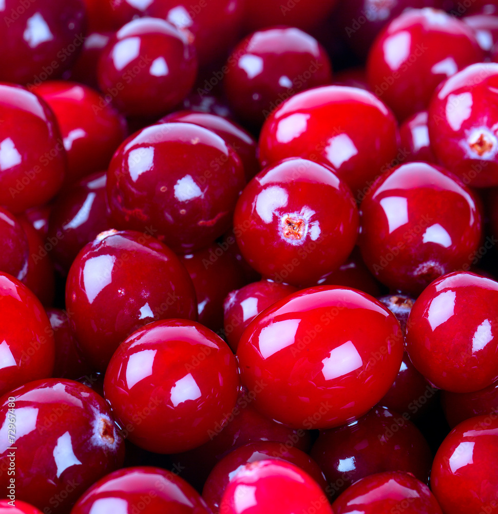 cranberries cranberries