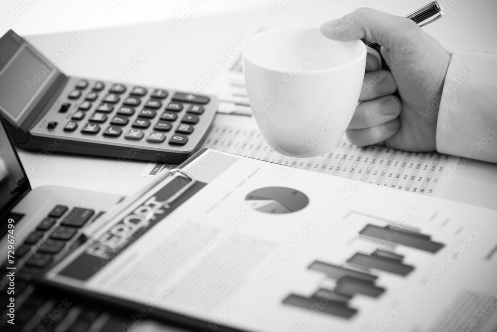 Businessman analyzing investment charts with laptop. Accounting Businessman analyzing investment charts with laptop. Accounting