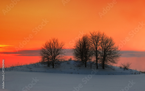 Beautiful red sunset over snowy field with trees