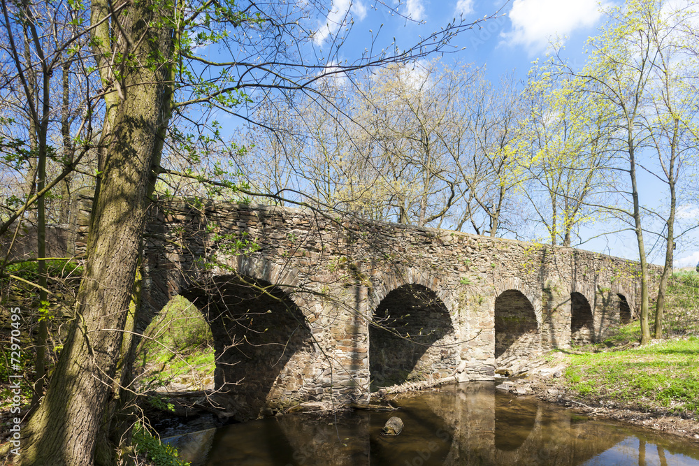 Fototapeta premium baroque bridge in Vlci Dul near Zasmuky, Czech Republic