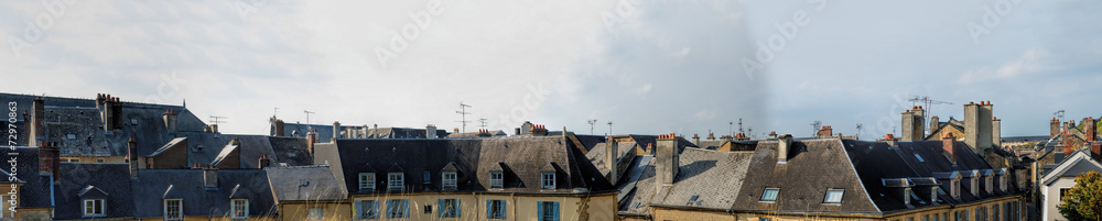 roofs panorama