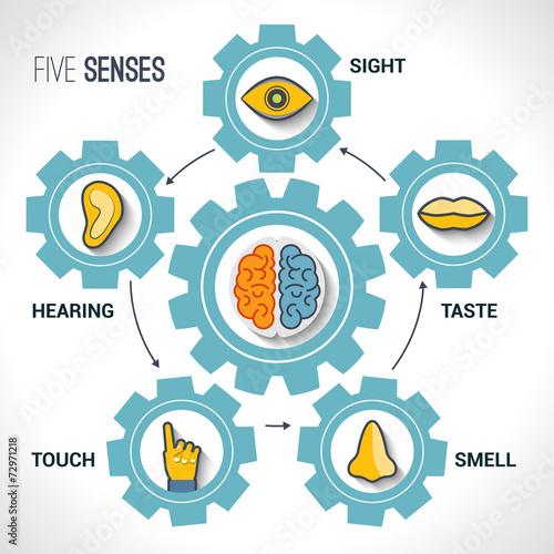 Five senses concept