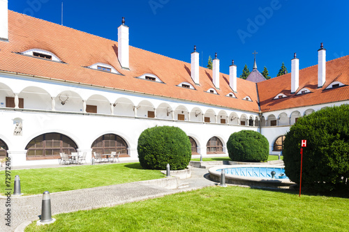 Topolcianky Palace, Slovakia photo