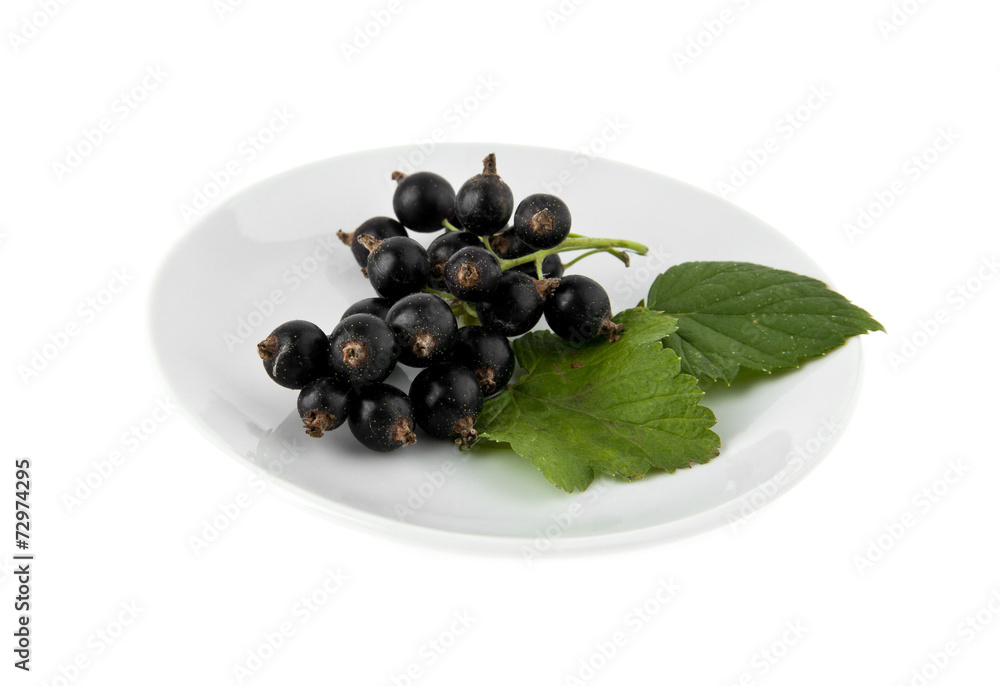 black currants black currants