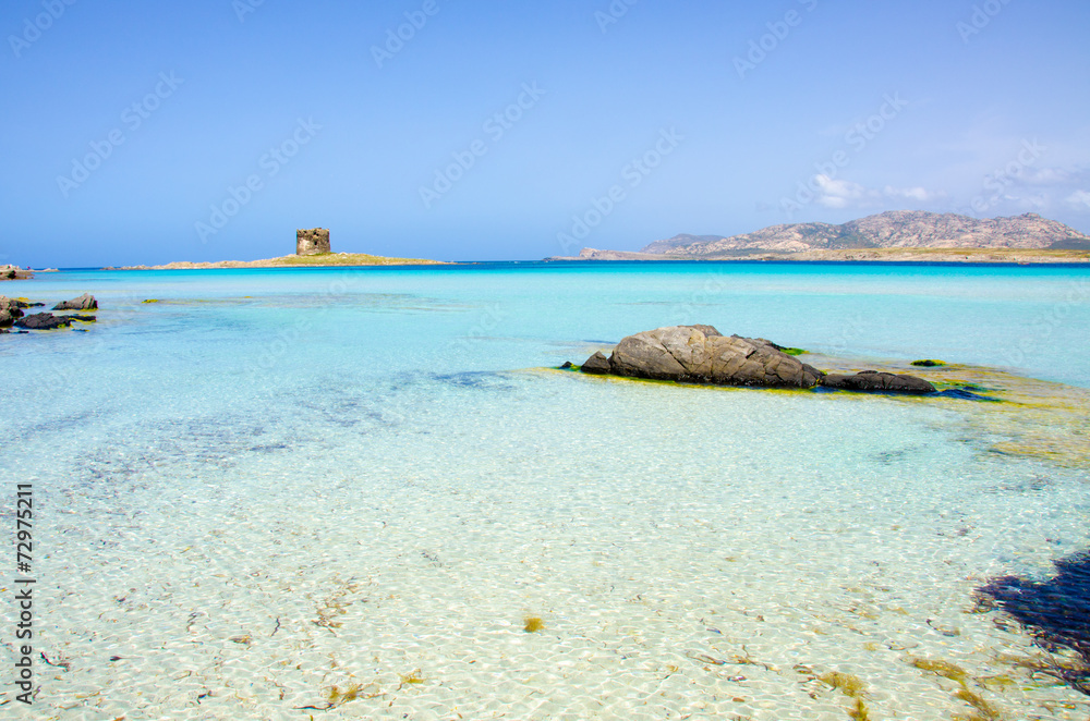 Fototapeta premium Beautiful coast of sardinia - La Pelosa, Stintino