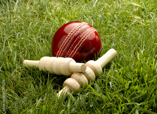 Cricket Ball