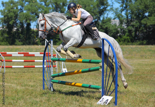 Jump horse - equestrian race