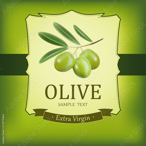 Vector decorative olive branch.For label, pack.