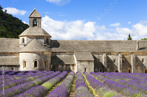 Abbey of Senanque and lavender flowers