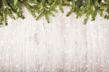 Christmas background with spruce branches