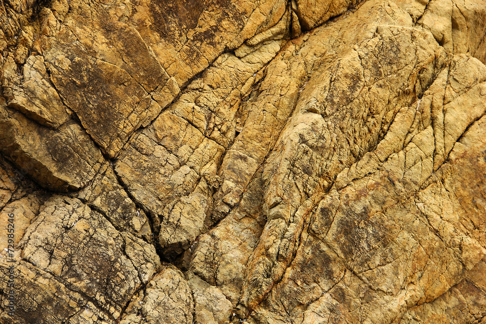 Texture of the yellow rock. Texture of the yellow rock.