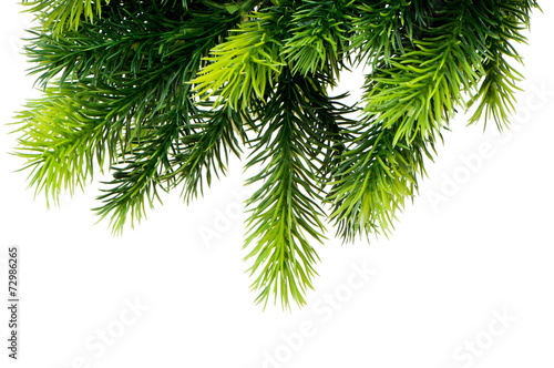 Christmas decoration isolated on the white background