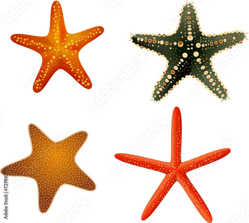Starfish collection