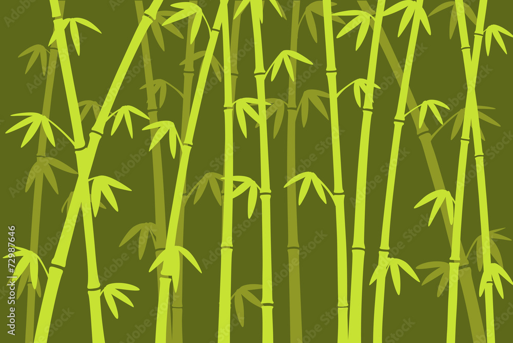 bammboo background bammboo background