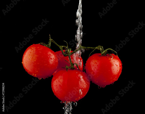 photo tomatoes with drops of water