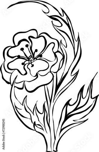 flower