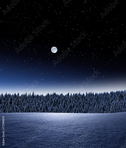 Verschneiter Wald bei Nacht