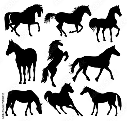 Horses Silhouette