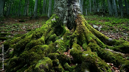 Between Heaven and Earth